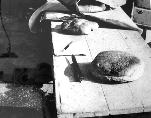 Poesia dialettale calendaVibbu