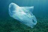 Plastica nel Mediterraneo, presentato il rapporto Arpa-Legambiente