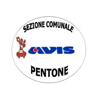 Assemblea Avis Comunale