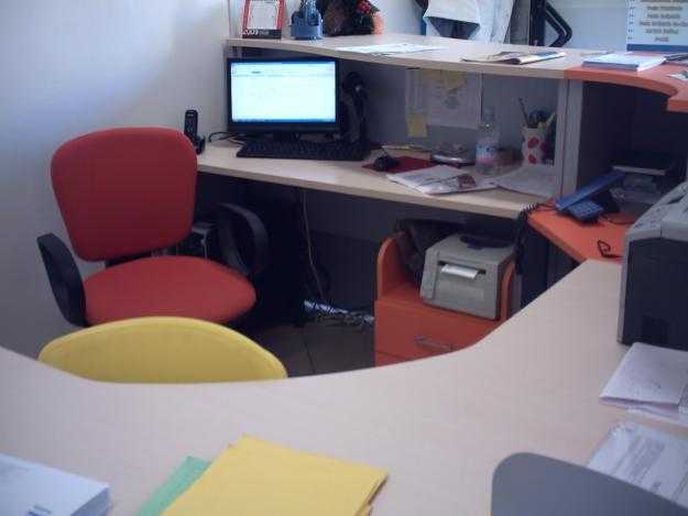 Muore inosservata sulla scrivania