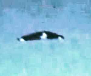 UFO: Aviazione civile rende pubblici documenti e video