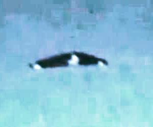 UFO: Aviazione civile rende pubblici documenti e video