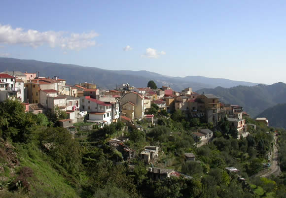 Nuovi progetti per la Carpe Diem