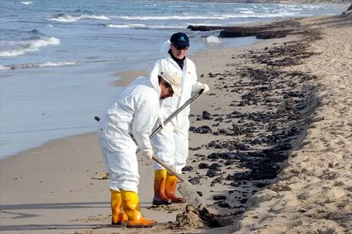 "Marea nera", un'ombra sulla Sardegna