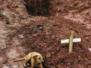 Brasile: La commozione nella tragedia