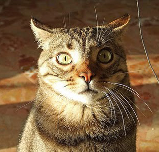 Tutto il nulla è paese: Il mondo visto dalla spazio, Day 3