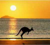 Australia: on the road nell'isola dei canguri