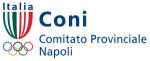 Coni Campania: Premiazione Sala conferenze - stadio S.Paolo 28 dicembre