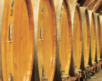 Taranto: litri di vino sotto sequestro