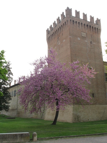 Grammofoni in concerto