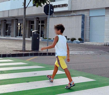 Storie d'Italia. Le zebre verdi sono fuorilegge