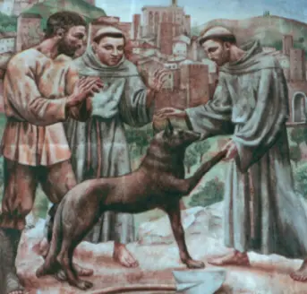 I cani possono entrare in chiesa? [COMMENTA]