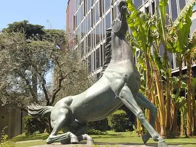 Viale Mazzini sotto il segno del Toro. Magnolia un po'appassita