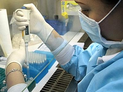 Dall'America primo fegato in provetta