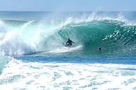 Los Angeles: uno squalo uccide surfista di 19 anni