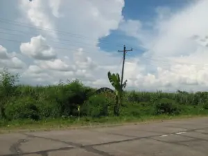 Bomba esplode su autobus: 9 morti