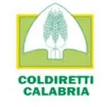 Calabria danni maltempo