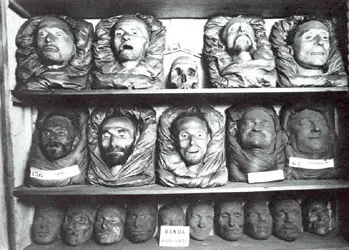 Il sindaco di Motta Santa Lucia contro il museo del Lombroso