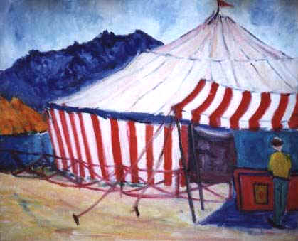 Circo si posiziona in posto non attrezzato: si lamenta un Consigliere comunale