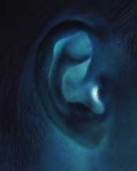 Non udenti: il cervello sostituisce vista ad udito