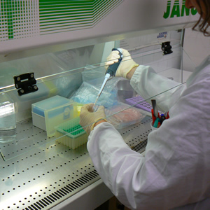 Ricerca italiana: in arrivo vaccino contro la meningite