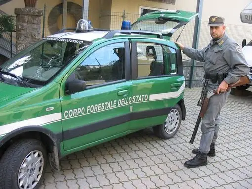 Da fuoco ad un tratto di statale e poi tenta il suicidio
