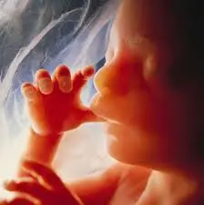 Ragazza 28enne incinta e in coma irreversibile