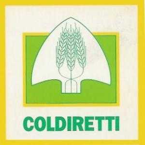 Molinaro (Coldiretti Calabria): solidarietà al governatore Scopelliti per vile aggresione
