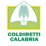Coldiretti Calabria plaude alla nomina di Umberto de Rose a Presidente di Fincalabra