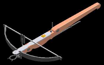 Rimini: avvocato uccisa in casa da freccia di balestra