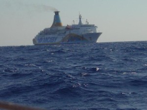 Cane cade da traghetto, l'equipaggio risponde: "abbiamo fatto il possibile"