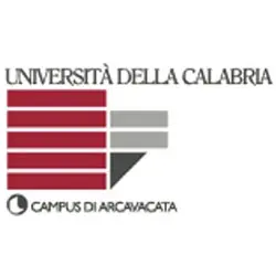 Unical: Master sull'Intelligence, al via le iscrizioni