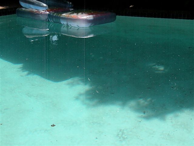 Lucca, l'arte di Eleonora Rossi con "I'm sorry"