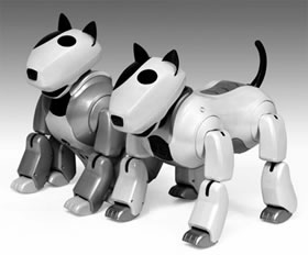 Mamma nasconde giocattoli, figlio dà fuoco alla casa