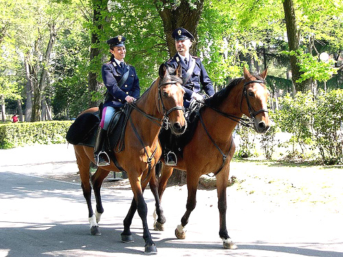 Allarme del Coisp per la "Squadra Cavalli" della Polizia di Stato a Torino