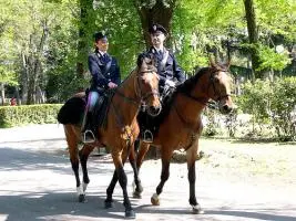 Co.I.S.P. Torino : squadra a Cavallo. Richiesta intervento urgente