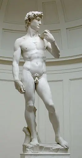 Il David di Michelangelo conteso tra Stato e Firenze