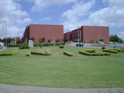 Università della Calabria: borse di studio per assegni di ricerca