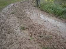 India pioggia distruttiva, Farnesina: "Segnalate parenti o amici in quelle zone"