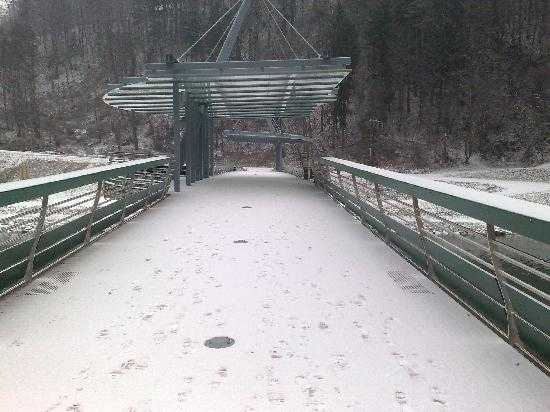 Diciottenne cade da ponte pedonale: gravissimo