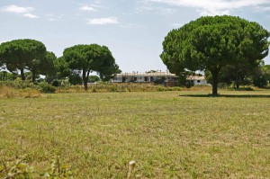 Axa e Casalpalocco: in arrivo 200mila metri cubi di cemento sulle aree verdi