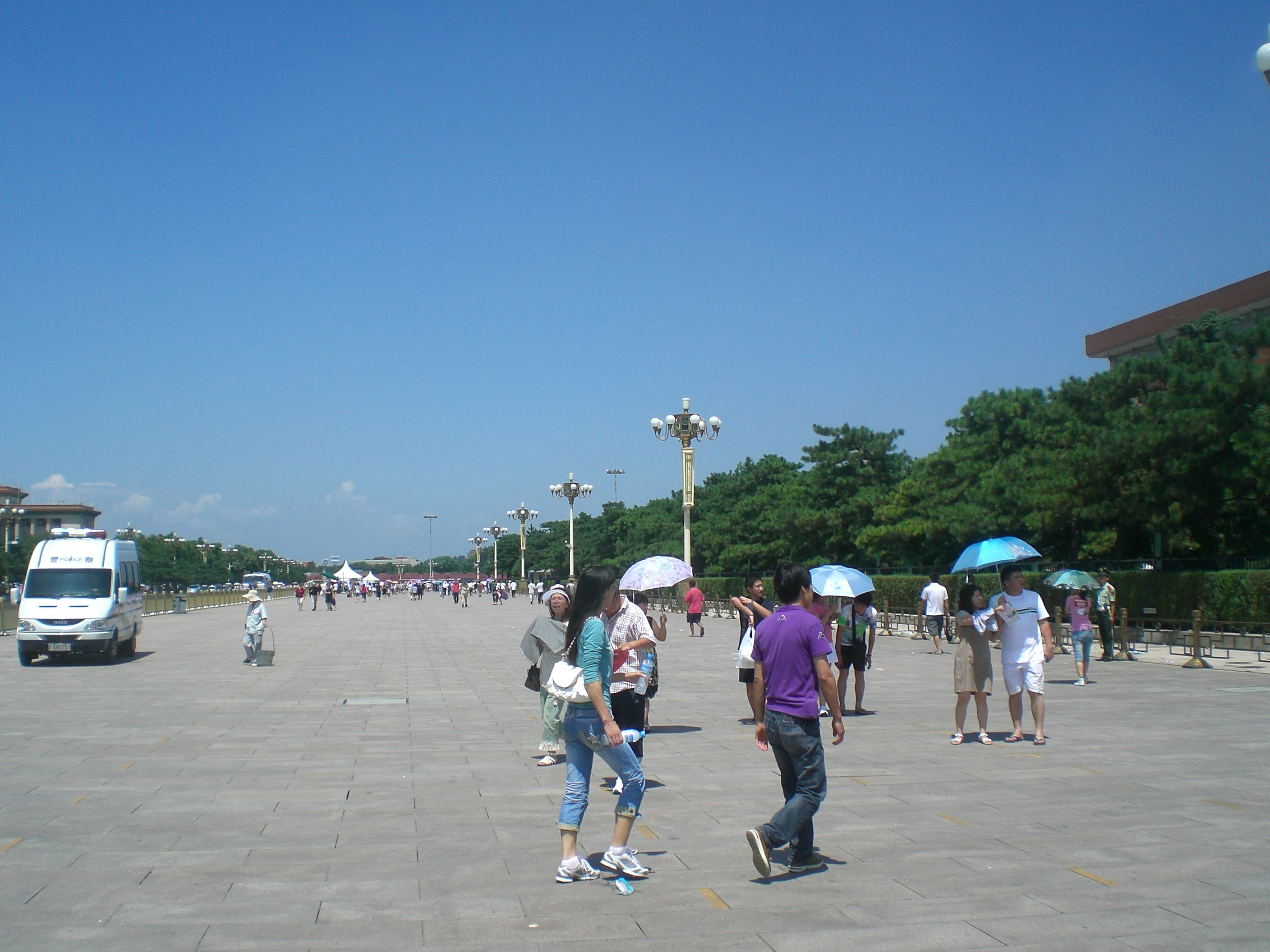 Caldo assassino: 66 morti