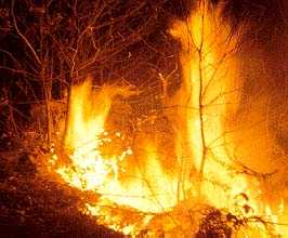 Incendio devasta 5 ettari di macchia mediterranea nel casertano