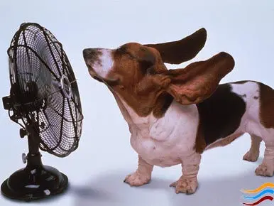 Nuova ondata di caldo nel fine settimana
