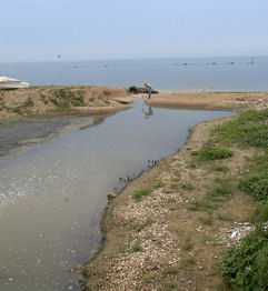 Crotone: foci 8 fiumi costa Ionica, sono gravemente contaminati
