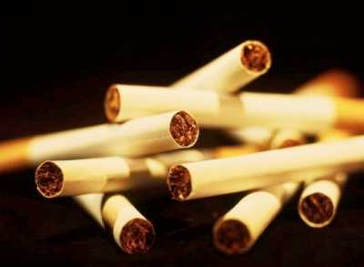 Sfruttamente minorile: associazioni per i diritti umani contro la Philip Morris