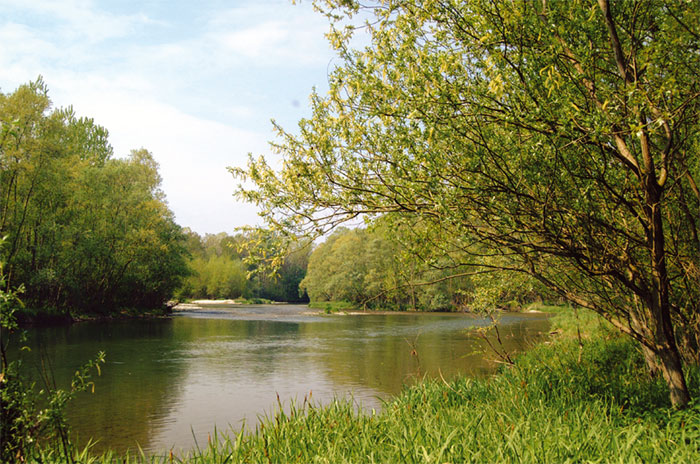 Ticino, annega 49enne