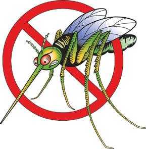 Problema zanzare: ecco 7 consigli utili
