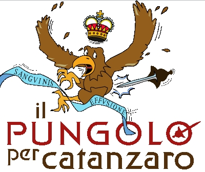 Il Pungolo per catanzaro: sulla sicurezza siamo pronti all'action class