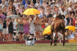 Pincipe Harry, caduta reale durante una partita di polo di beneficenza a New York